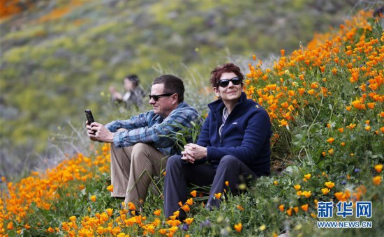 �����H����2���������� ɽ��ʢ��