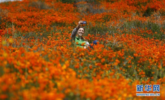 �����H����4���������� ɽ��ʢ��