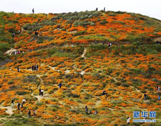 �����H����1���������� ɽ��ʢ��