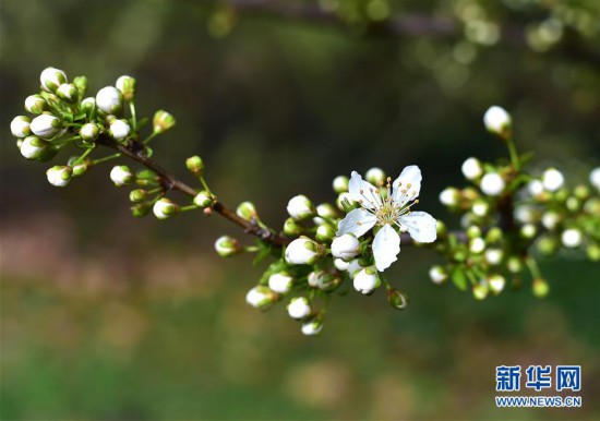 �����H����6���紺���m�˸�