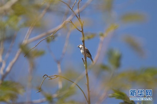 �����H����8����ɫ�а����؇��H�^�B��(ji��)