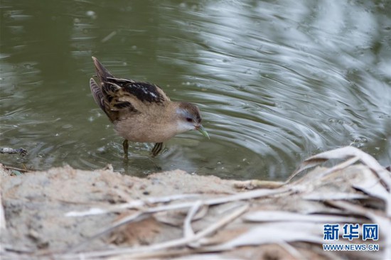 �����H����7����ɫ�а����؇��H�^�B��(ji��)