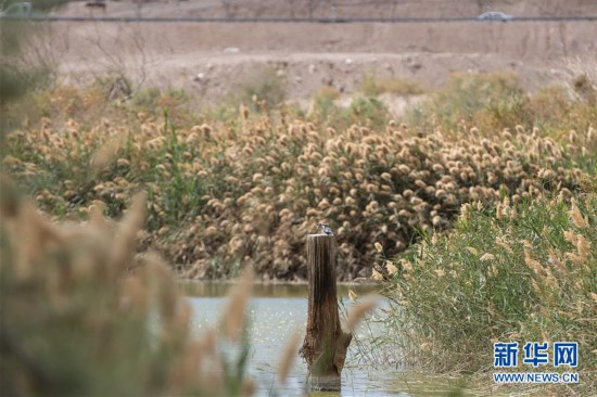 �����H����3����ɫ�а����؇��H�^�B��(ji��)