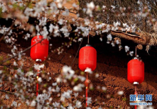 ����(l��i)��һ�����{(di��o)���(b��o)��&middot;�D�Ļ���(d��ng)����1����ɽ���&ldquo;��(��i)��С�(zh��n)&rdquo;����(d��ng)�l(xi��ng)������ˇ�g(sh��)