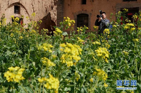 ����(l��i)��һ�����{(di��o)���(b��o)��&middot;�D�Ļ���(d��ng)����5����ɽ���&ldquo;��(��i)��С�(zh��n)&rdquo;����(d��ng)�l(xi��ng)������ˇ�g(sh��)