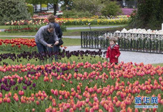 ����(gu��)�H����3����ʿĪ�����e�k�����㹝(ji��)