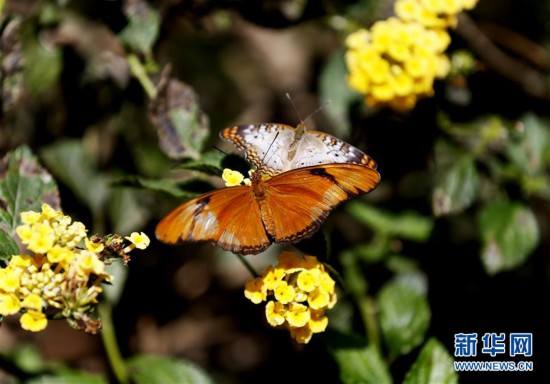 ����(gu��)�H����1�����ٻ�