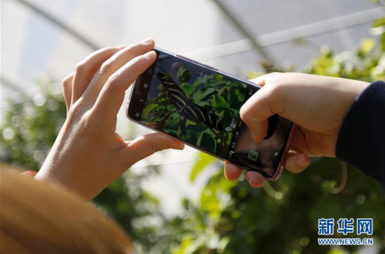 ����(gu��)�H����3�����ٻ�