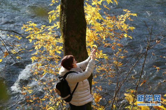 �����H����3���S���~˹�������