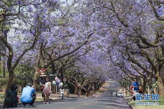 �����Aҕ�磩��3�����M(j��n)���{(l��n)���֮�ǡ�