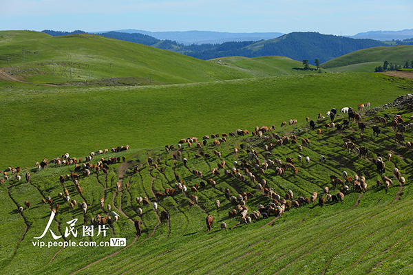 �½�����̩���ļ��D��