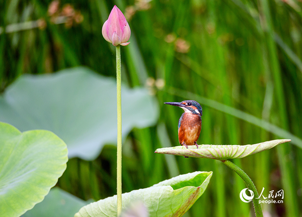 ���Ϸ������B(t��i)������