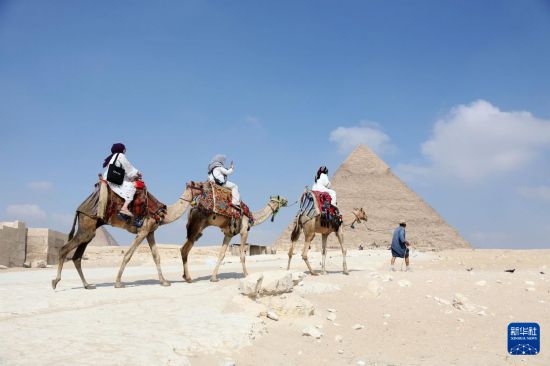 ���ս�������