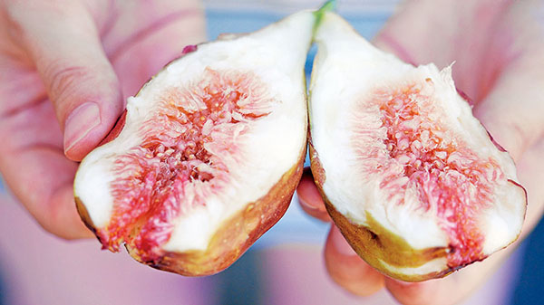 �o(w��)������M�@�㡱