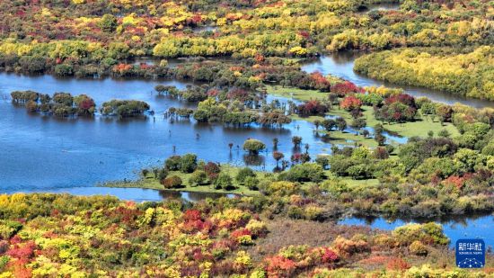 �~���ż{������ռ���