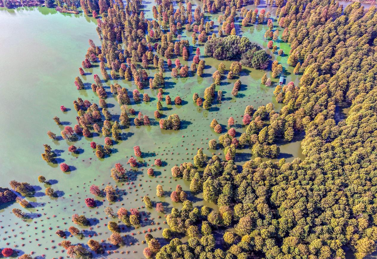 ������ɼ�箋����