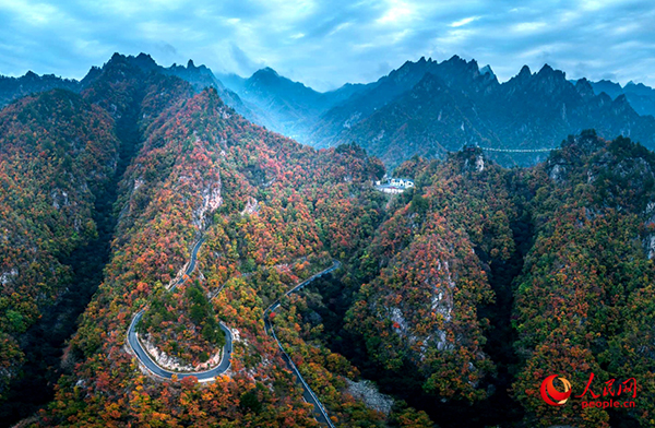 �������(y��ng)�Ͻ�X���t��