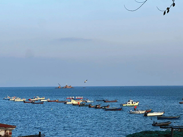 ���ս��žף�����ɽ�|�����h(hu��n)��^(q��)���o�k����