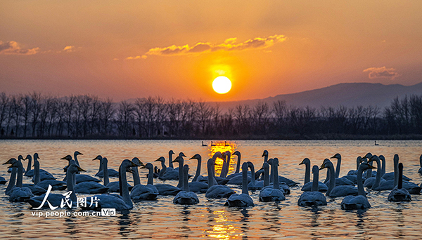 山西芮城:晨光中的”