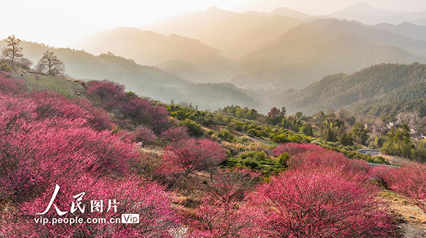 ����쨿h��÷�����㡱