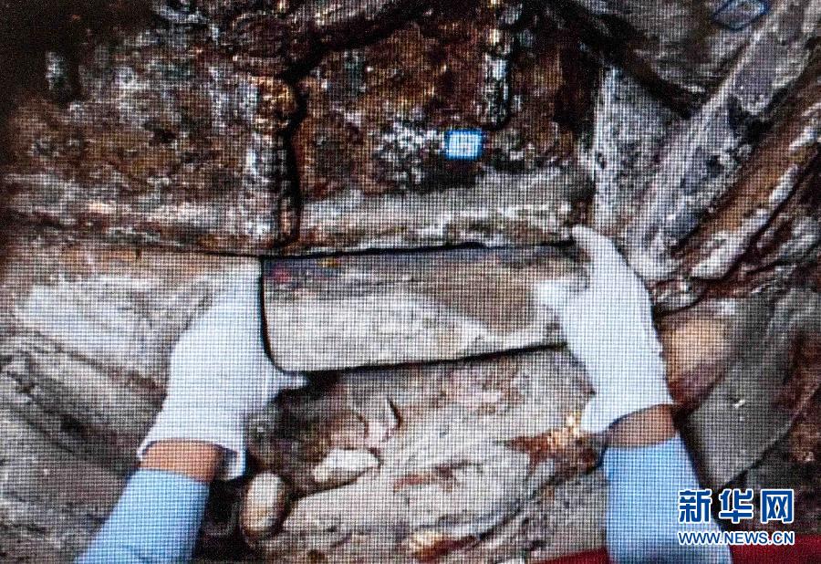 5��7�գ������ޏ�(f��)�ˆT��չʾǧ���^������l(f��)�F(xi��n)�����ʯ�u�}ӛ������