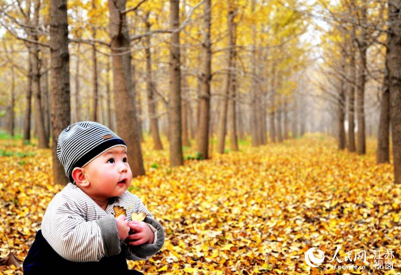 ��������������ˣ��������z