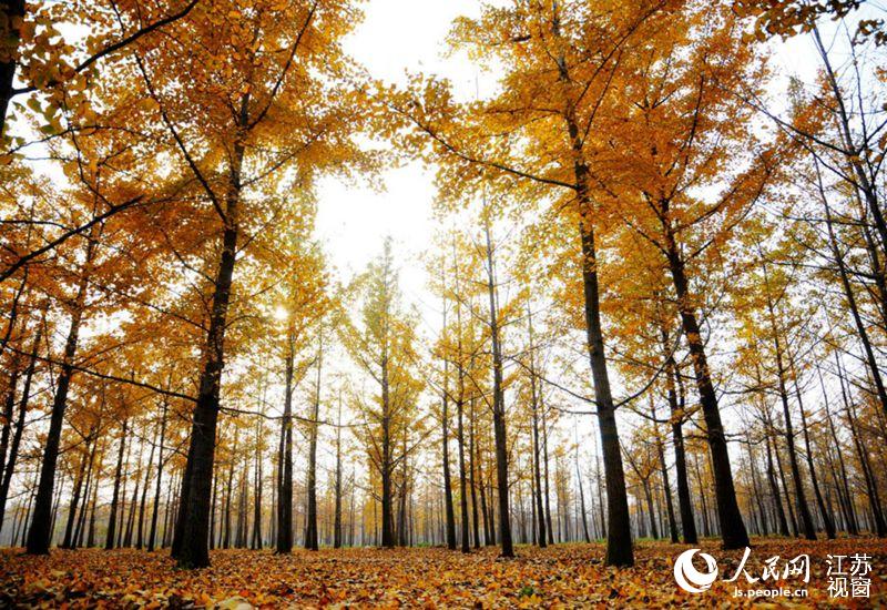 ˪����S���y���~��������z