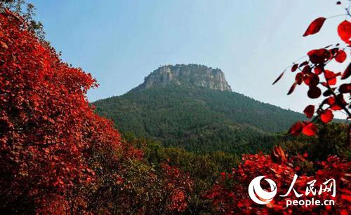 ���ֱMȾ�ľ��^(q��)һ��