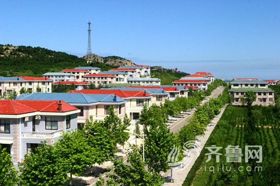 IMG_1569_����_����