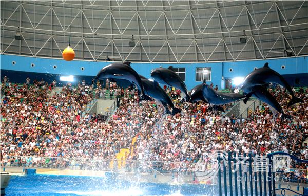 Ȫ�Ǻ���O������