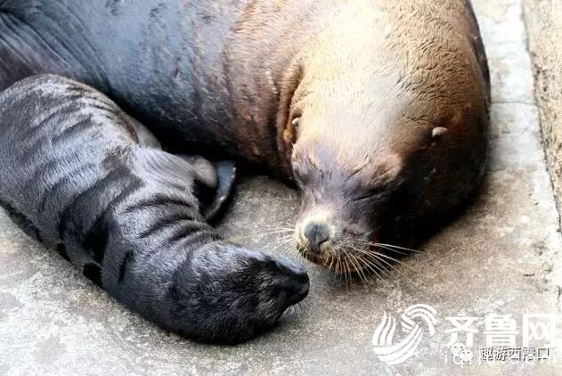 QQ�؈D20170508160415