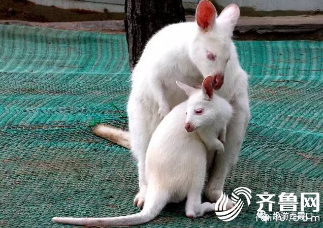 QQ�؈D20170508160224