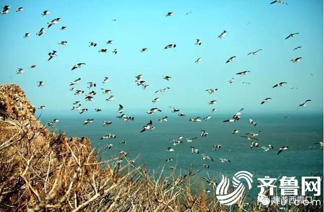 QQ�؈D20170508160558