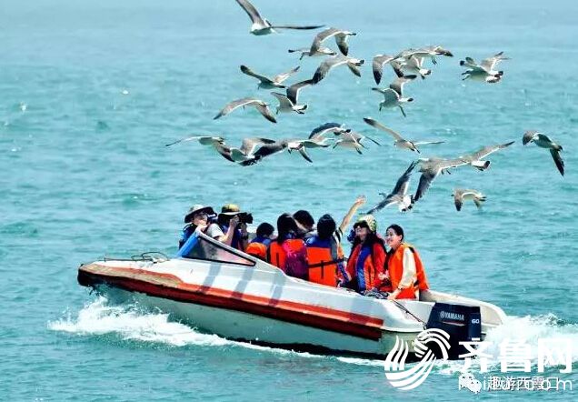 QQ�؈D20170508160551