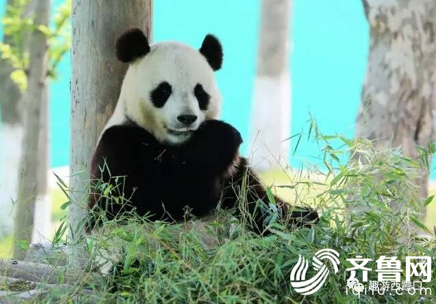 QQ�؈D20170508160407