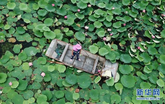 ����(j��ng)��(j��)����4�����K���飺ˮ�Ͻ�&ldquo;����(ch��ng)&rdquo; ���B(t��i)�ָ���