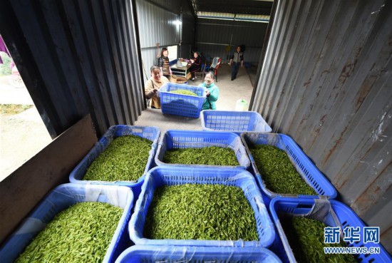 ����(j��ng)��(j��)����6���F�ݴ�����m(x��)�_��