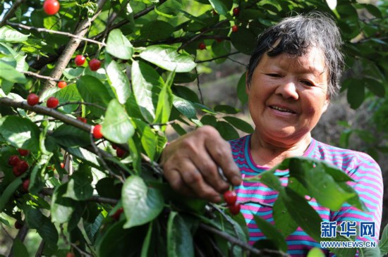 ����(j��ng)��(j��)����2���󷽙�������