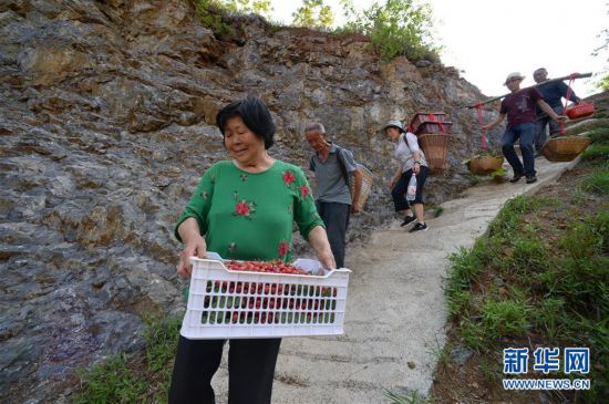 ����(j��ng)��(j��)����3���󷽙�������