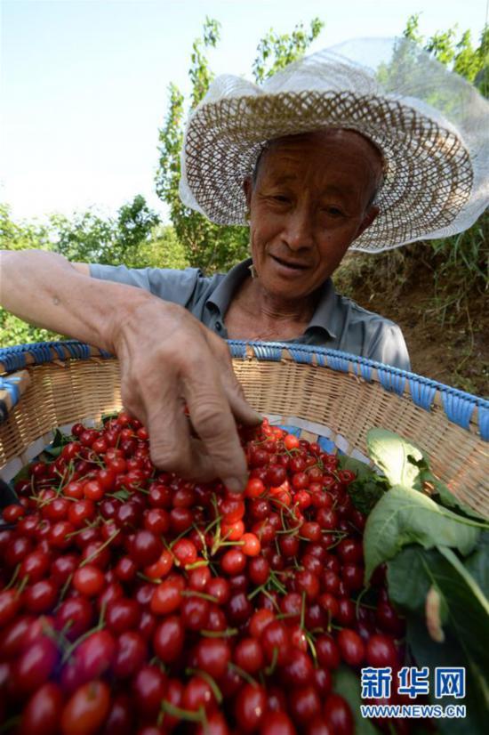 ����(j��ng)��(j��)����1���󷽙�������