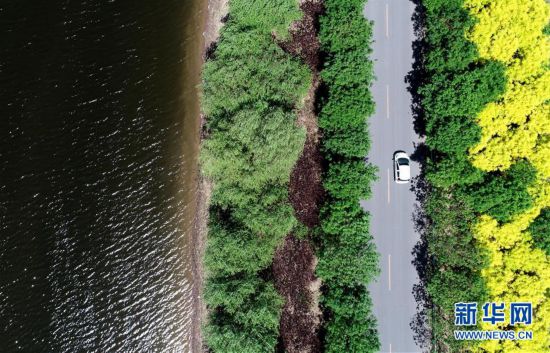 ���h(hu��n)������5����򣺽�Ұ���@׃���������ɡ�