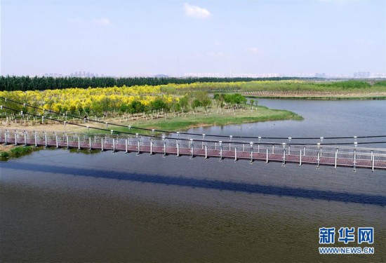 ���h(hu��n)������3����򣺽�Ұ���@׃���������ɡ�