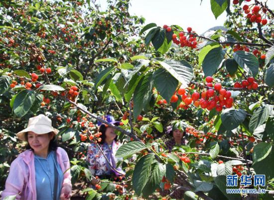 �����(hu��)����1��ɽ�|���u�������S�� ��ժ���r(n��ng)