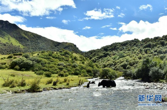 �������Ї�����5�����ظ�ؕ�ϣ��B(y��ng)�����|��δ�R