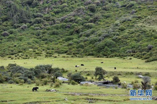 �������Ї�����1�����ظ�ؕ�ϣ��B(y��ng)�����|��δ�R