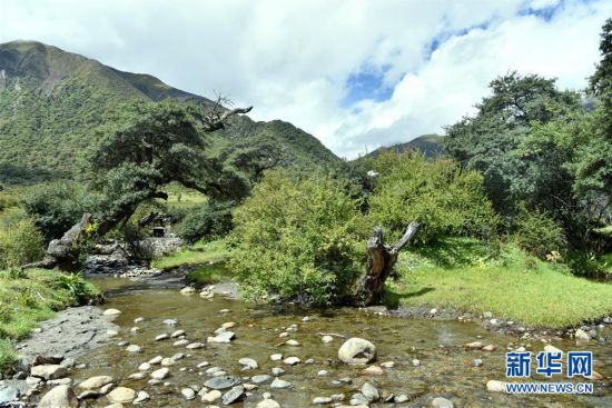 �������Ї�����4�����ظ�ؕ�ϣ��B(y��ng)�����|��δ�R