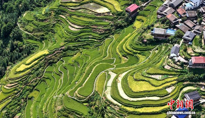 �V����կ�����L(f��ng)������