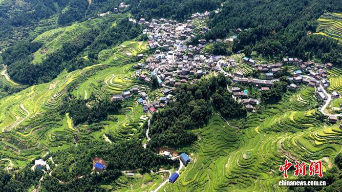 �V����կ�����L����