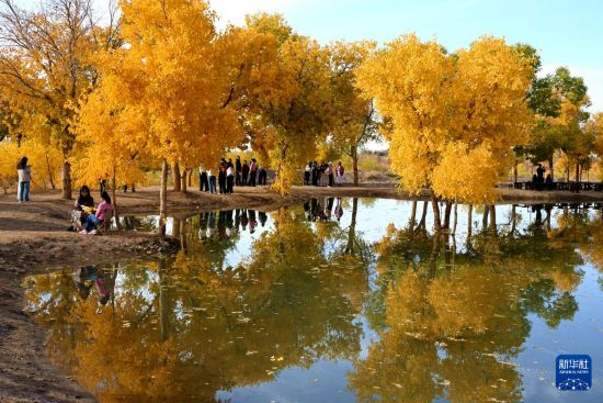 ���C�ػͣ������Į��