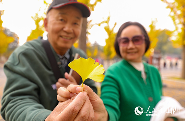 �����ﾰ���䘷���ڡ�����W(w��ng)ӛ�� �����z